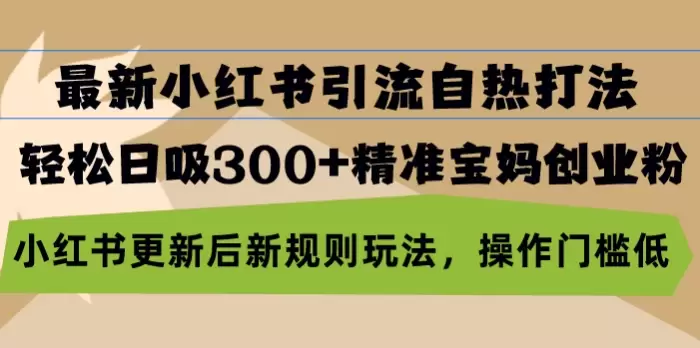 (13145期)最新小红书引流自热打法,轻松日吸300+精准宝妈创业粉,小红书更新后新…