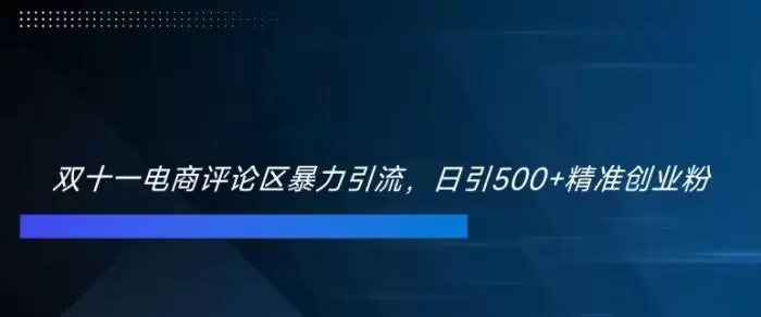 双十一电商评论区暴力引流,日引500+精准创业粉