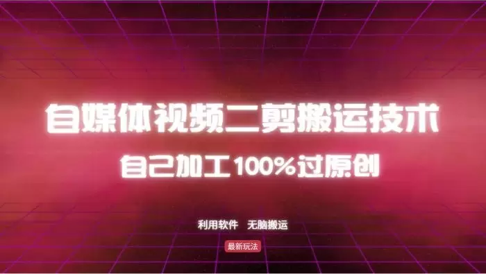 (12995期)详细教你自媒体视频二剪搬运技术,自己加工100%过原创,无脑搬运