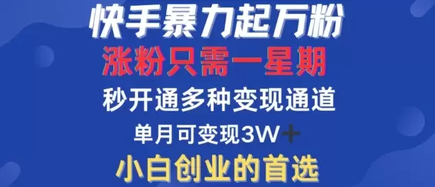 快手暴力起万粉，涨粉只需一星期，多种变现模式，直接秒开万合，单月变现过W