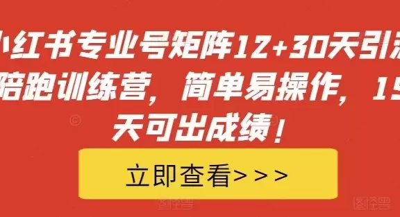 小红书专业号矩阵12+30天引流陪跑训练营，简单易操作，15天可出成绩!