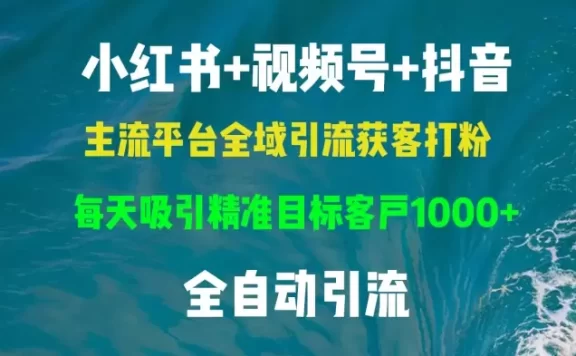 （13104期）小红书，视频号，抖音主流平台全域引流获客打粉，每天吸引精准目标客户…