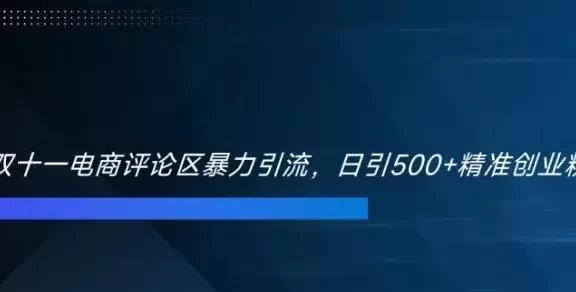 双十一电商评论区暴力引流，日引500+精准创业粉