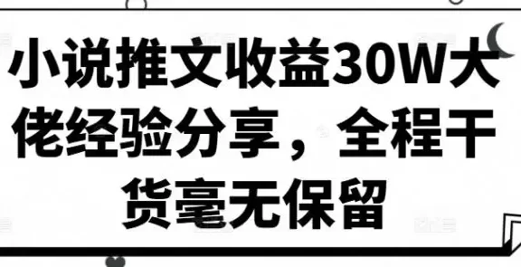 小说推文收益30W大佬经验分享,全程干货毫无保留