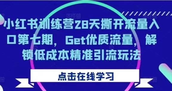 小红书训练营28天撕开流量入口第七期,Get优质流量,解锁低成本精准引流玩法