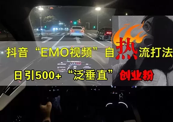 (13029期)抖音EMO视频自热打法,日引500+“泛垂直”创业粉