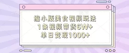 缩小版美食视频玩法，1条视频带货6W+，单日变现1k