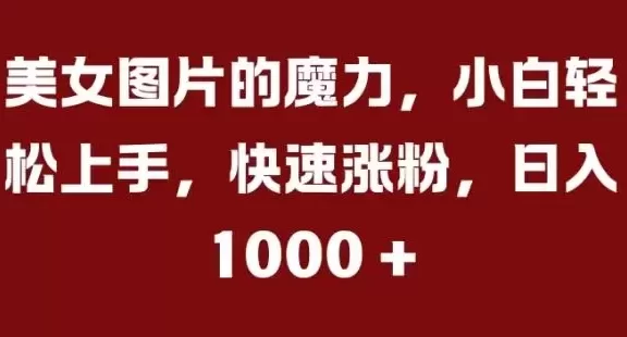 美女图片的魔力,小白轻松上手,快速涨粉,日入几张