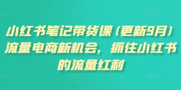 小红书笔记带货课(更新10月)流量电商新机会,抓住小红书的流量红利